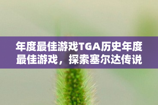 年度最佳游戏TGA历史年度最佳游戏图片