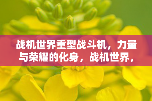 战机世界重型战斗机图片