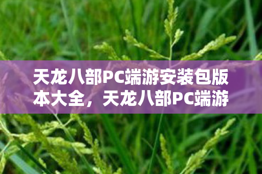 天龙八部PC端游安装包版本全解析图片