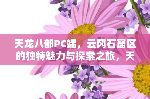 云冈石窟区的独特魅力与探索之旅图片