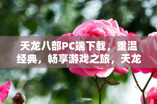 天龙八部PC端下载图片
