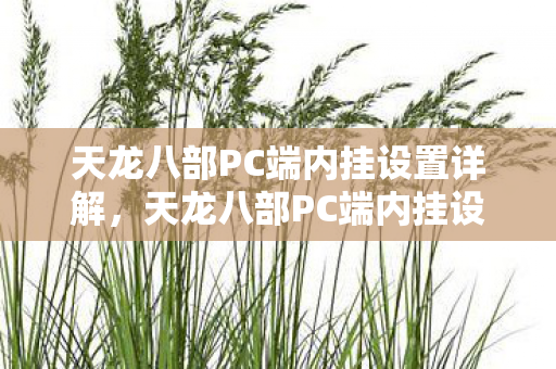 天龙八部PC端内挂设置全解析图片