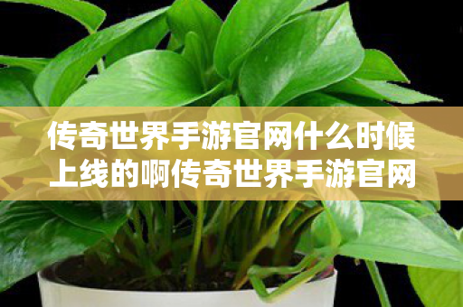 传奇世界手游官网什么时候上线的啊传奇世界手游官网上线时间揭秘图片