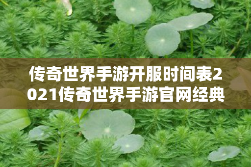 传奇世界手游开服时间表2021传奇世界手游官网经典微信1区即将盛大开启图片