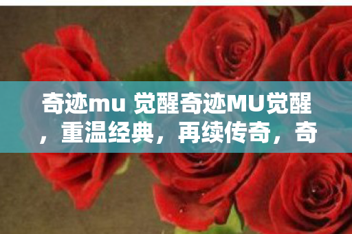 奇迹mu 觉醒奇迹MU觉醒图片