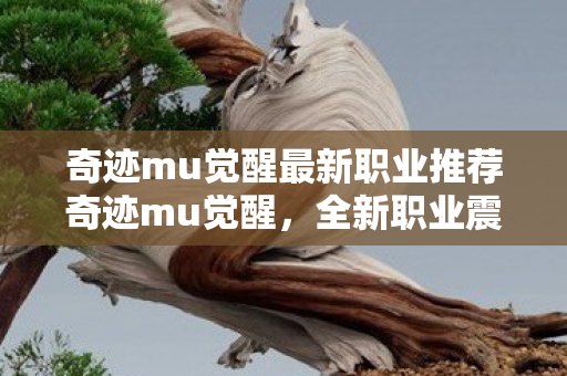 奇迹mu觉醒最新职业推荐奇迹mu觉醒图片