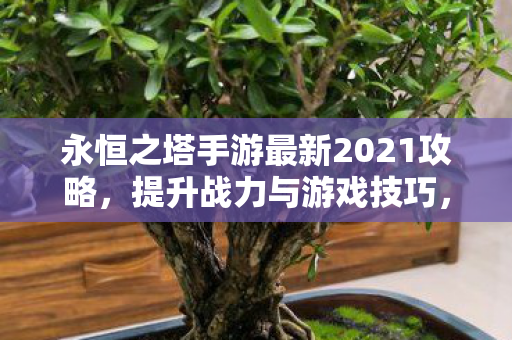 永恒之塔手游最新2021攻略图片