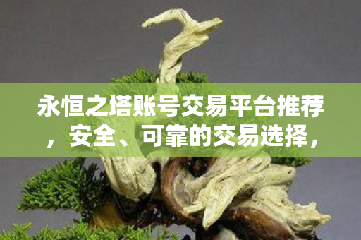 安全可靠的永恒之塔账号交易平台图片