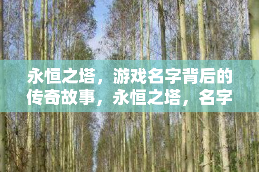 游戏名字背后的传奇故事图片