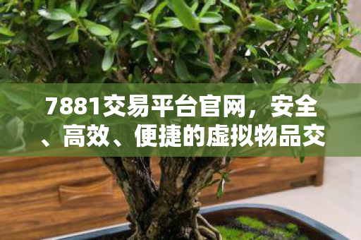 便捷的虚拟物品交易新选择图片