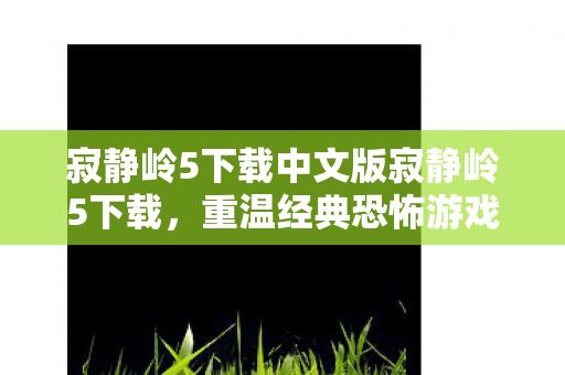 寂静岭5下载中文版寂静岭5下载图片