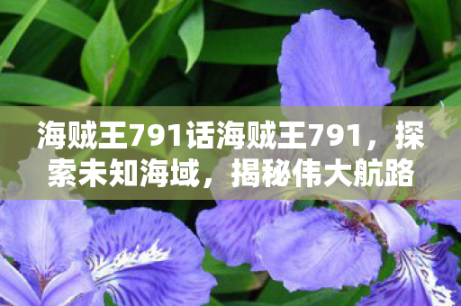 海贼王791话海贼王791图片
