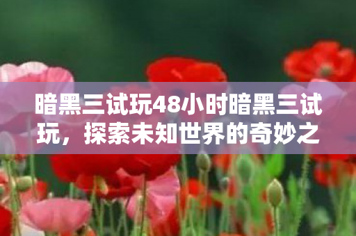 48小时探索暗黑三的奇妙世界之旅图片