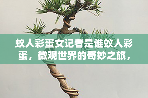 蚁人彩蛋女记者是谁蚁人彩蛋图片