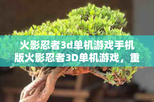 火影忍者3d单机游戏手机版火影忍者3D单机游戏图片