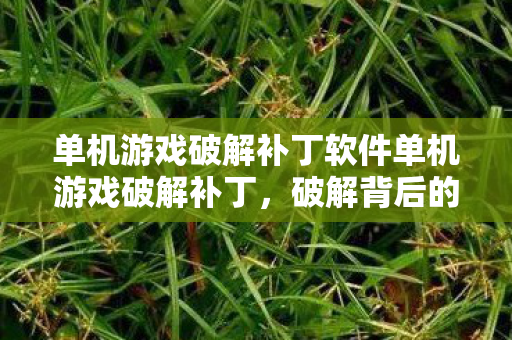 单机游戏破解补丁软件单机游戏破解补丁图片