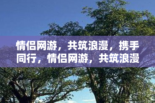 情侣网游图片