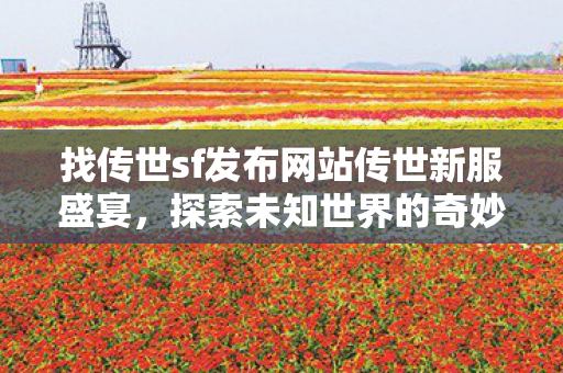 找传世sf发布网站传世新服盛宴图片