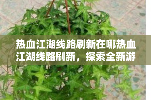 热血江湖线路刷新在哪热血江湖线路刷新，探索全新游戏体验，热血江湖线路刷新，开启全新游戏体验之旅
