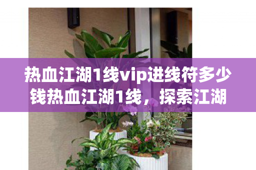 热血江湖1线vip进线符多少钱热血江湖1线,探索江湖,体验经典,热血江湖1线VIP进线符价格及探索经典江湖体验 热血江湖1线vip进线符多少钱热血江湖1线,探索江湖,体验经典,热血江湖1线VIP进线符价格及探索经典江湖体验