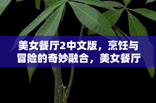 烹饪与冒险的奇妙融合之旅图片
