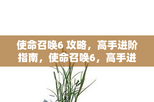 使命召唤6 攻略图片