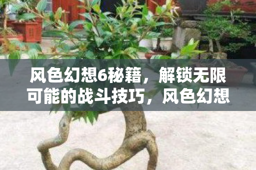 解锁无限可能的战斗技巧图片