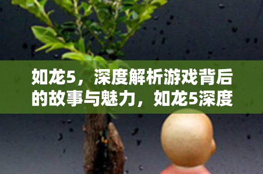 深度解析游戏背后的故事与魅力图片