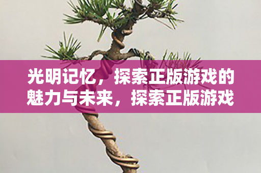 探索正版游戏的魅力与未来图片