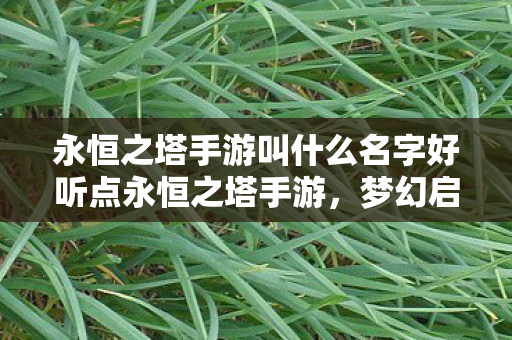 永恒之塔手游叫什么名字好听点永恒之塔手游图片