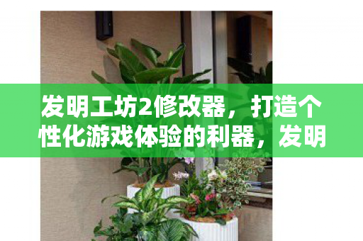 打造个性化游戏体验的利器图片