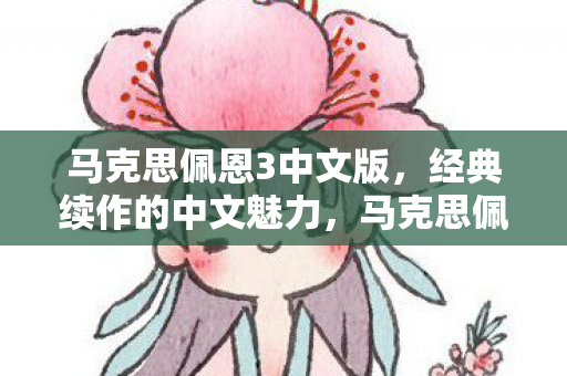 马克思佩恩3中文版图片