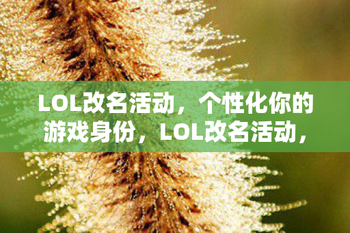 个性化你的游戏身份图片