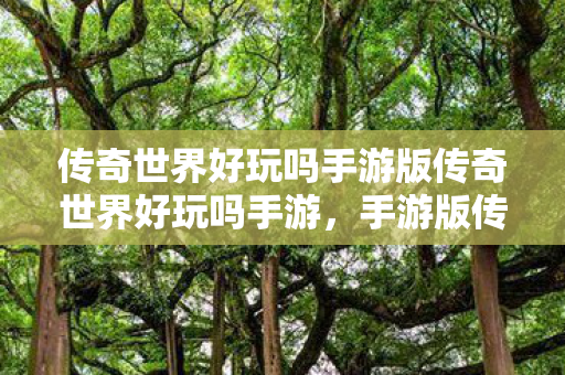 传奇世界好玩吗手游版传奇世界好玩吗手游图片
