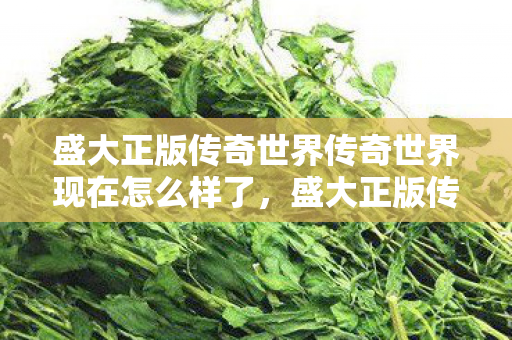 盛大正版传奇世界传奇世界现在怎么样了图片
