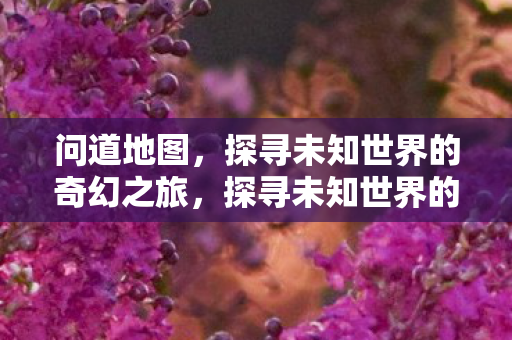 问道地图，探寻未知世界的奇幻之旅，探寻未知世界的奇幻之旅，问道地图