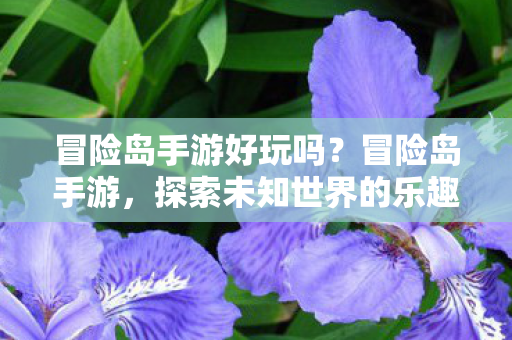 冒险岛手游好玩吗？冒险岛手游，探索未知世界的乐趣！