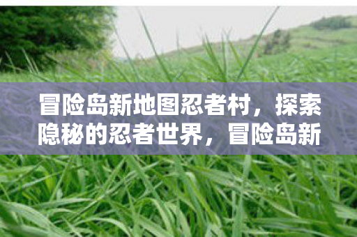 冒险岛新地图忍者村，探索隐秘的忍者世界，冒险岛新地图忍者村，探索隐秘的忍者世界