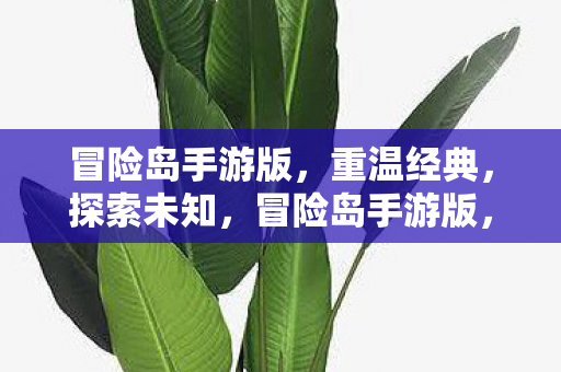 冒险岛手游版，重温经典，探索未知，冒险岛手游版，重温经典，探索未知之旅