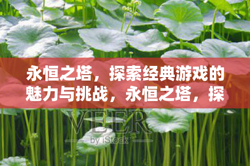 探索经典游戏的魅力与挑战图片