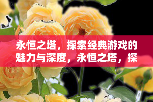 探索经典游戏的魅力与深度图片