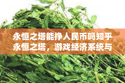 永恒之塔游戏经济系统与人民币挣取探讨图片