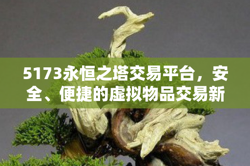 5173永恒之塔交易平台图片