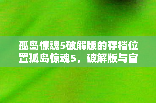 孤岛惊魂5破解版的存档位置孤岛惊魂5,破解版与官方版的深度对比,孤岛惊魂5破解版存档位置及与官方版深度对比 孤岛惊魂5破解版的存档位置孤岛惊魂5,破解版与官方版的深度对比,孤岛惊魂5破解版存档位置及与官方版深度对比