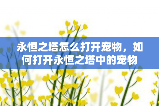 如何打开永恒之塔中的宠物图片