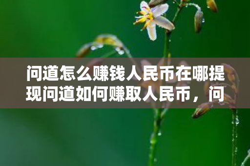 问道怎么赚钱人民币在哪提现问道如何赚取人民币,问道赚钱人民币攻略,如何赚取并提现人民币? 问道怎么赚钱人民币在哪提现问道如何赚取人民币,问道赚钱人民币攻略,如何赚取并提现人民币?