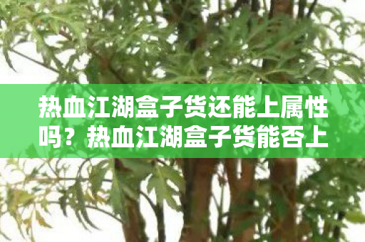 热血江湖盒子货还能上属性吗？热血江湖盒子货能否上属性？