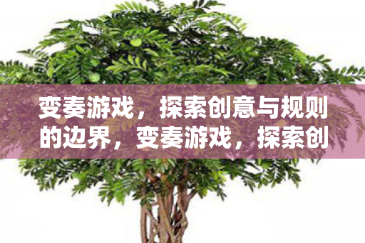 变奏游戏，探索创意与规则的边界，变奏游戏，探索创意与规则的边界