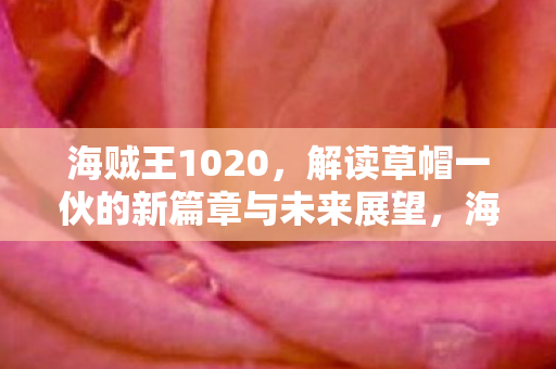 海贼王1020，解读草帽一伙的新篇章与未来展望，海贼王1020，草帽一伙新篇章与未来展望解析
