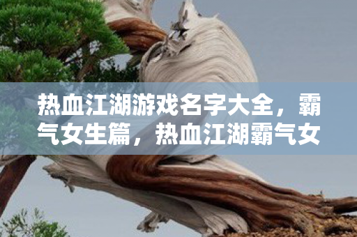 热血江湖游戏名字大全，霸气女生篇，热血江湖霸气女生游戏名字大全